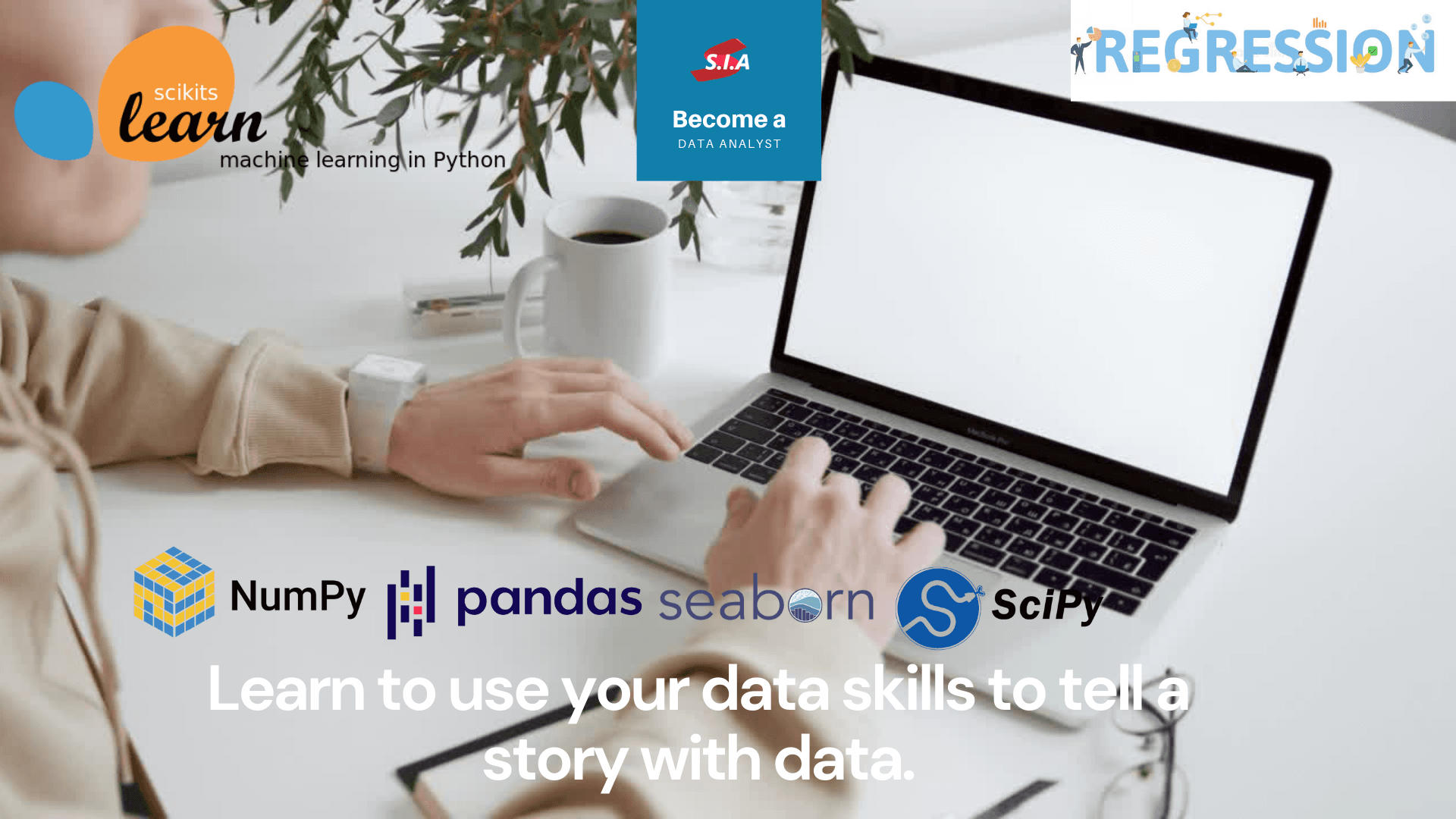 Want to Become a Data Analyst